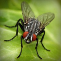 /album/warenwirtschaftssystem/photolia-a01-jpg/