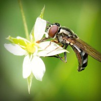 /album/warenwirtschaftssystem/photolia-a02-jpg/