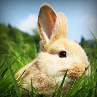 /album/warenwirtschaftssystem/photolia-a03-jpg/