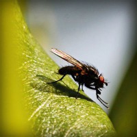 /album/warenwirtschaftssystem/photolia-a04-jpg/