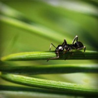 /album/warenwirtschaftssystem/photolia-a05-jpg/