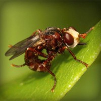 /album/warenwirtschaftssystem/photolia-a06-jpg/