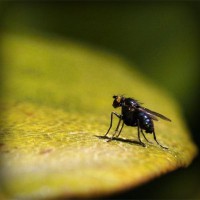 /album/warenwirtschaftssystem/photolia-a07-jpg/