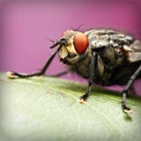 /album/warenwirtschaftssystem/photolia-a08-jpg/